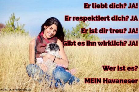 Havaneser Zitate und Sprüche HavaneserSeite.de