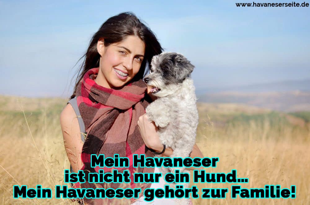 Eine Frau umarmt ihren Havaneser