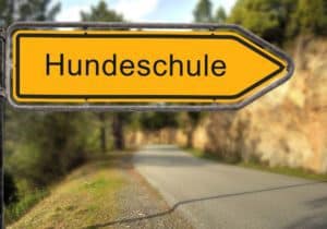 Hundeschule Havaneser