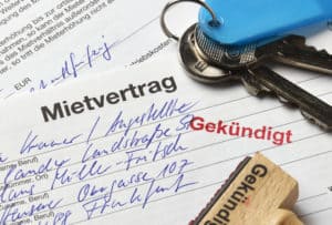 Die Hundehaltung sollte im Mietvertrag geregelt sein.