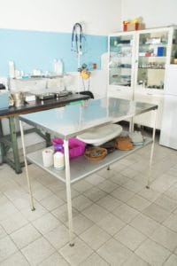 Havaneser einschläfern
