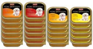 Nassfutter für den Havaneser