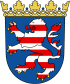 Havaneser Züchter und Welpen in Hessen