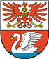 Beste Havaneser Züchter in der Nähe von Prenzlau und Umgebung.