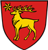 Beste Havaneser Züchter in der Nähe von Sigmaringen und Umgebung.