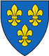 Beste Havaneser Züchter in der Nähe von Wiesbaden und Umgebung.